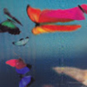 Meet your Posher, Haniston